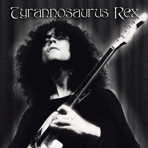 Tyrannosaurus Rex A Crown Of Dark Swansdown LP 1