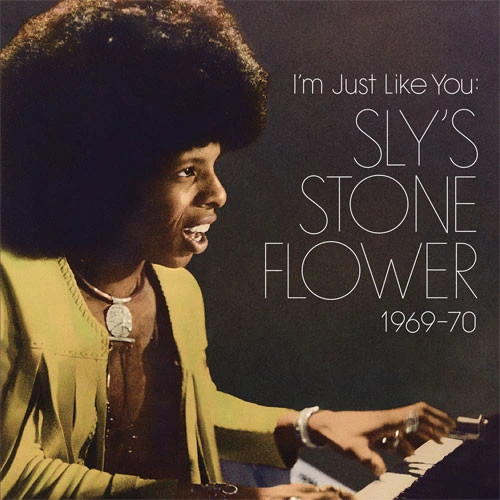 Sly Stone I'm Just Like You: Sly's Stone Flower 1969-70 160g 2LP 1