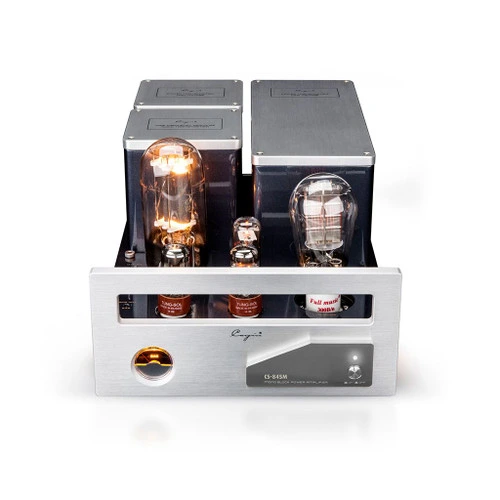 CS-845M Monoblock Amplifers 1