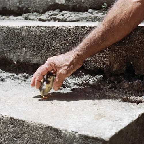 Big Thief Mythological Beauty 45rpm 7" Vinyl Single 1