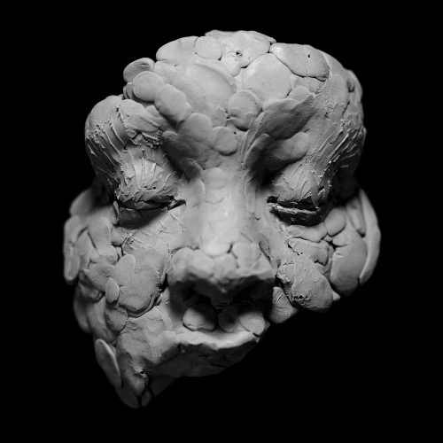 Joy Oladokun OBSERVATIONS FROM A CROWDED ROOM LP 1