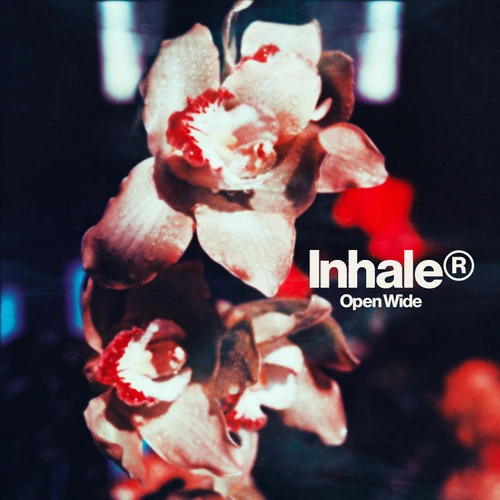 Inhaler Open Wide LP 1