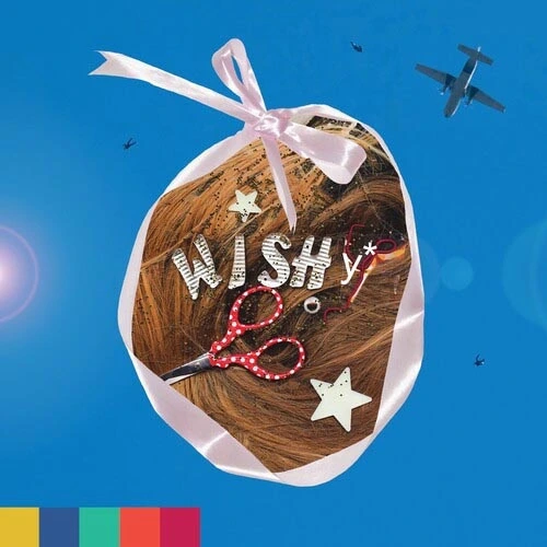 Wishy Paradise on Planet Popstar LP 1