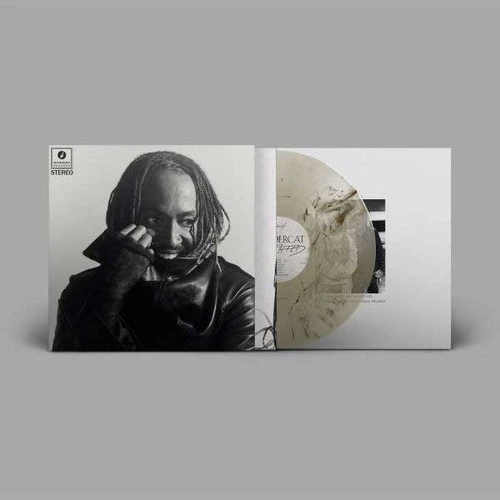 Thundercat Distracted Indie Exclusive LP (Black Marbled Smoke Effect Vinyl) 1