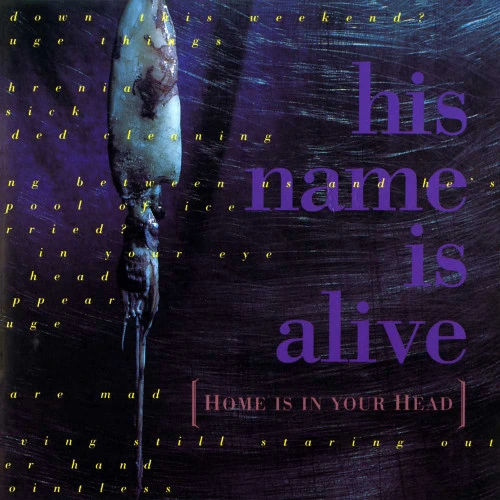 His Name Is Alive Home Is in Your Head LP 1
