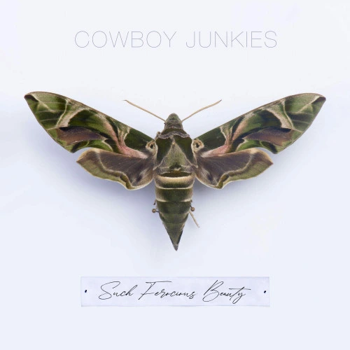 Cowboy Junkies Such Ferocious Beauty LP (Translucent Green Vinyl) 1