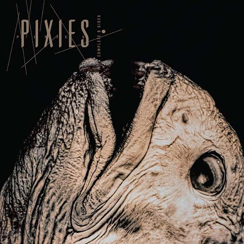 Pixies Complete B Sides 2LP 1