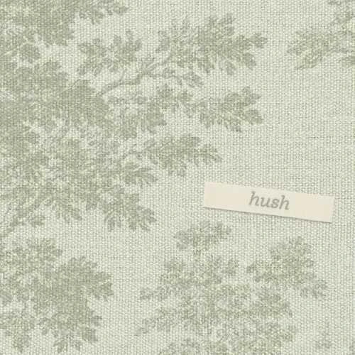 Chad Lawson hush LP (Coke Bottle Clear Vinyl) 1