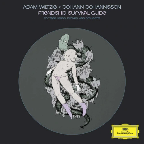 Adam Wiltzie & Johann Johannsson Friendship Survival Guide LP 1