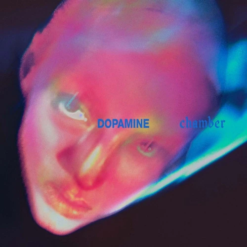 Fontaines D.C. Dopamine Chamber LP 1