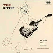 Joe Puma Wild Kitten LP 1