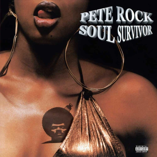 Pete Rock Soul Survivor 2LP 1