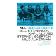 Descendents All (Punk Note Edition) LP